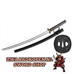 Tai Chi Sword various lengths