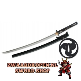 Tai Chi Sword various lengths